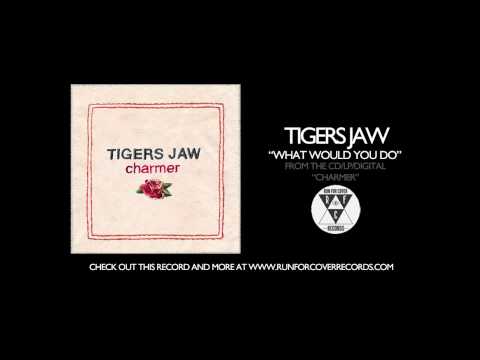 Tigers Jaw - "What Would You Do" (Official Audio)