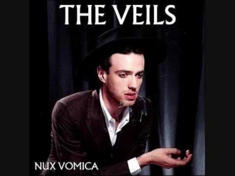 The Veils-Night Thoughts of A Tired Surgeon