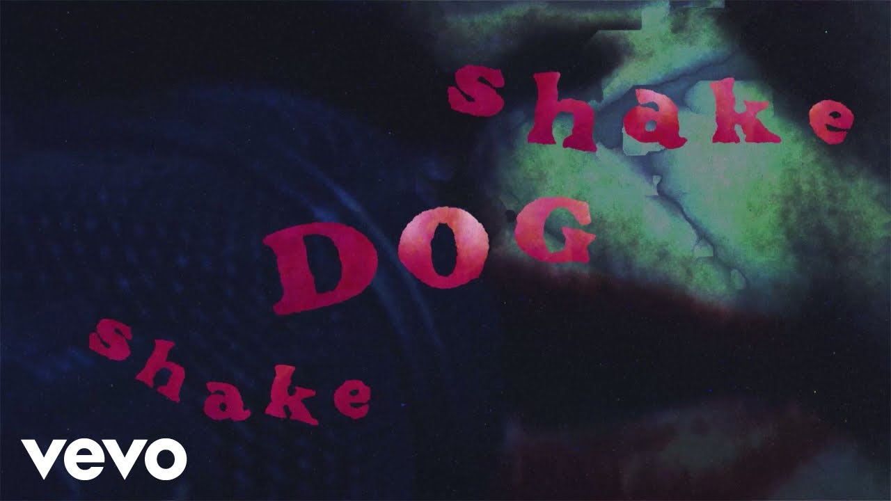The Cure - Shake Dog Shake (Live At Zenith / Visualiser)