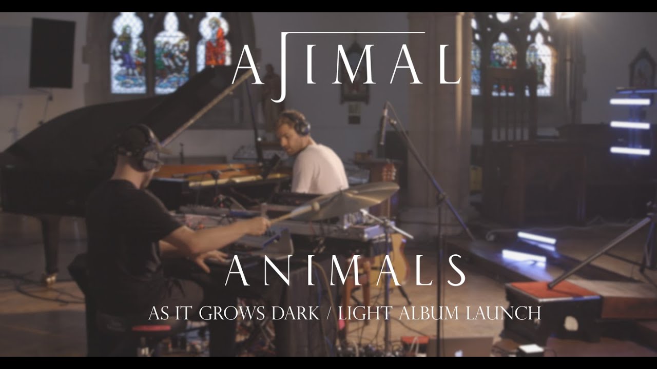 AJIMAL - ANIMALS (Live)
