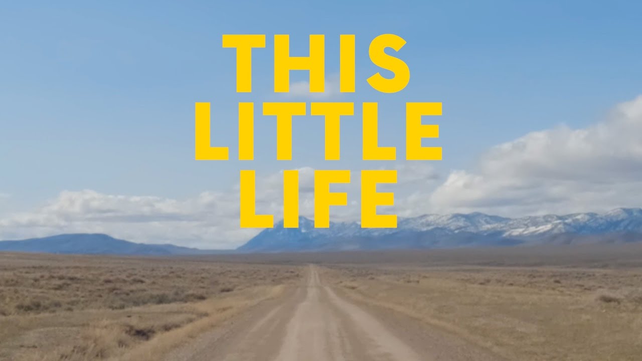 Tom Rosenthal - This Little Life [Lyrics]