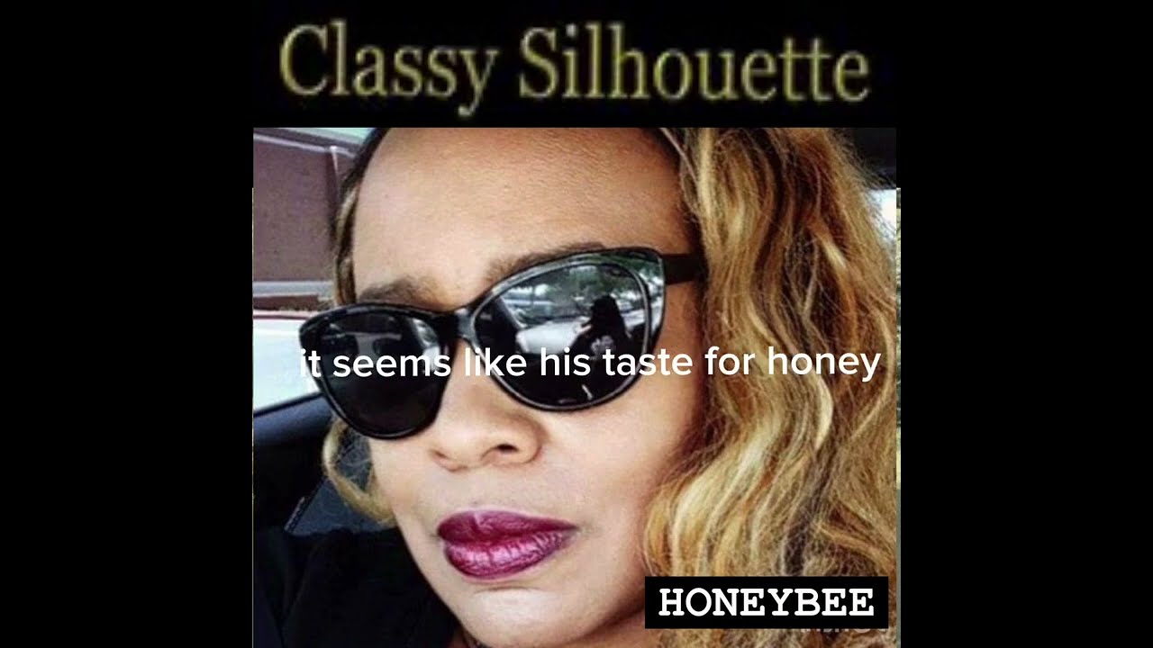Classy Silhouette- Honeybee - Lyrics
