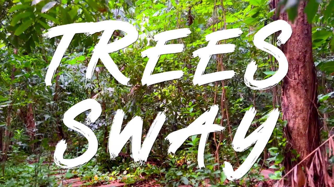 The Dollyrots - Trees Sway (Official Lyric Video)