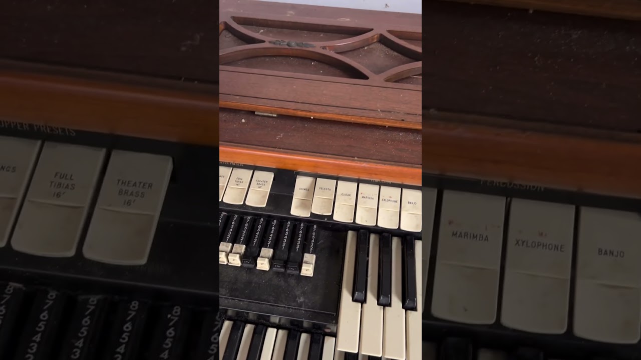 Anyone recognize this lick?? #moontaxi #riverwater #popmusic #indiemusic #organ #shorts