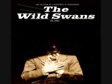 The Wild Swans - Chloroform (Audio)