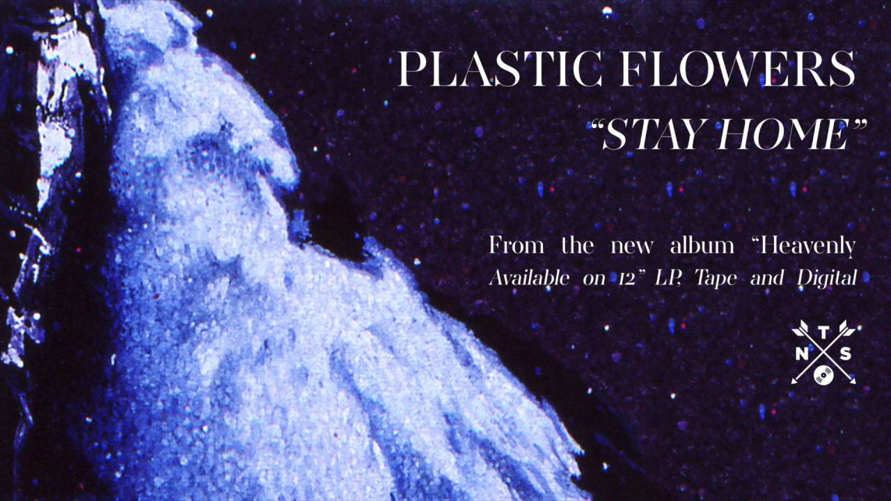 Plastic Flowers – Stay Home (Audio)