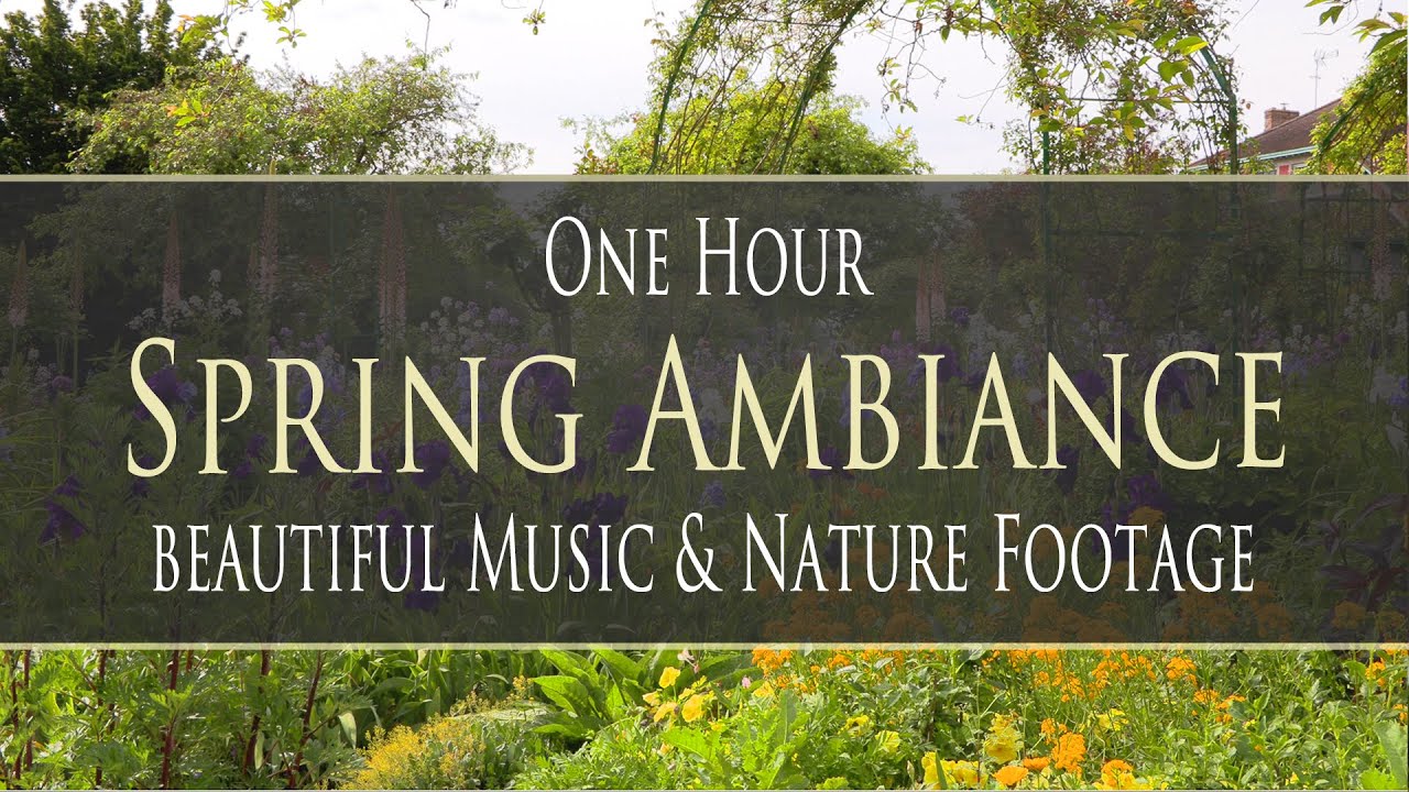 One Hour Spring Ambiance Music with Nature footage🌼🌸🌷🌿 for Massage, Yoga, Meditation, Study, Focus
