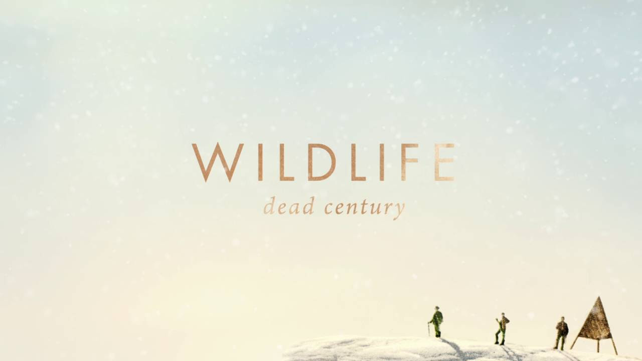 Wildlife - Dead Century (Official Audio)