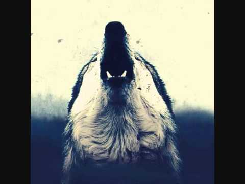 WOLF DOWN - Rot