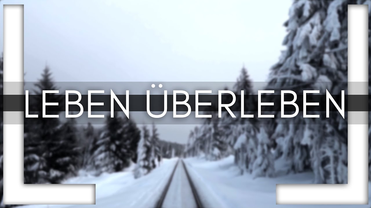 LUKAS LITT - LEBEN ÜBERLEBEN (Official Video) 2017