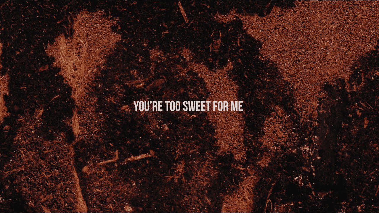 Hozier - Too Sweet (Official Lyric Video)