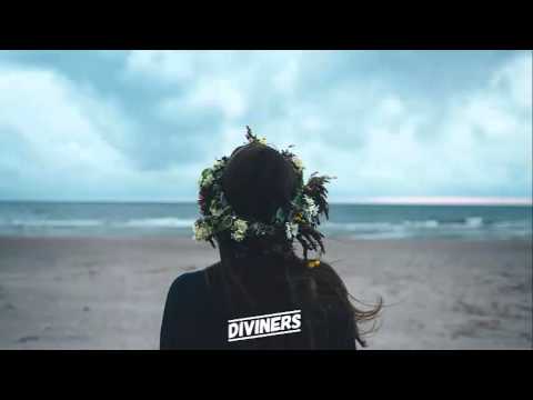 Diviners - Flowers (ft. Dom Robinson)