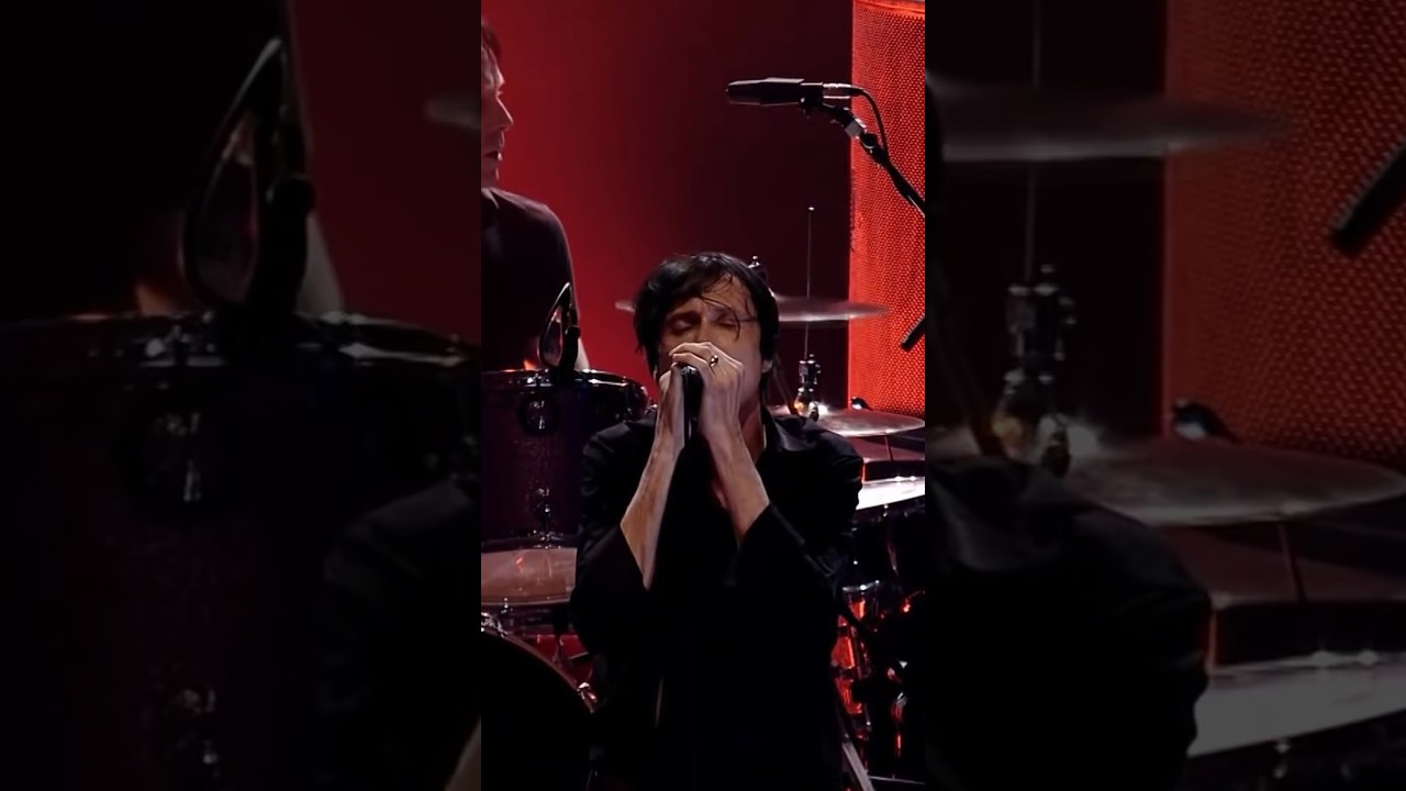 Pantomime Horse - Live at the Royal Albert Hall, 2010 #Suede