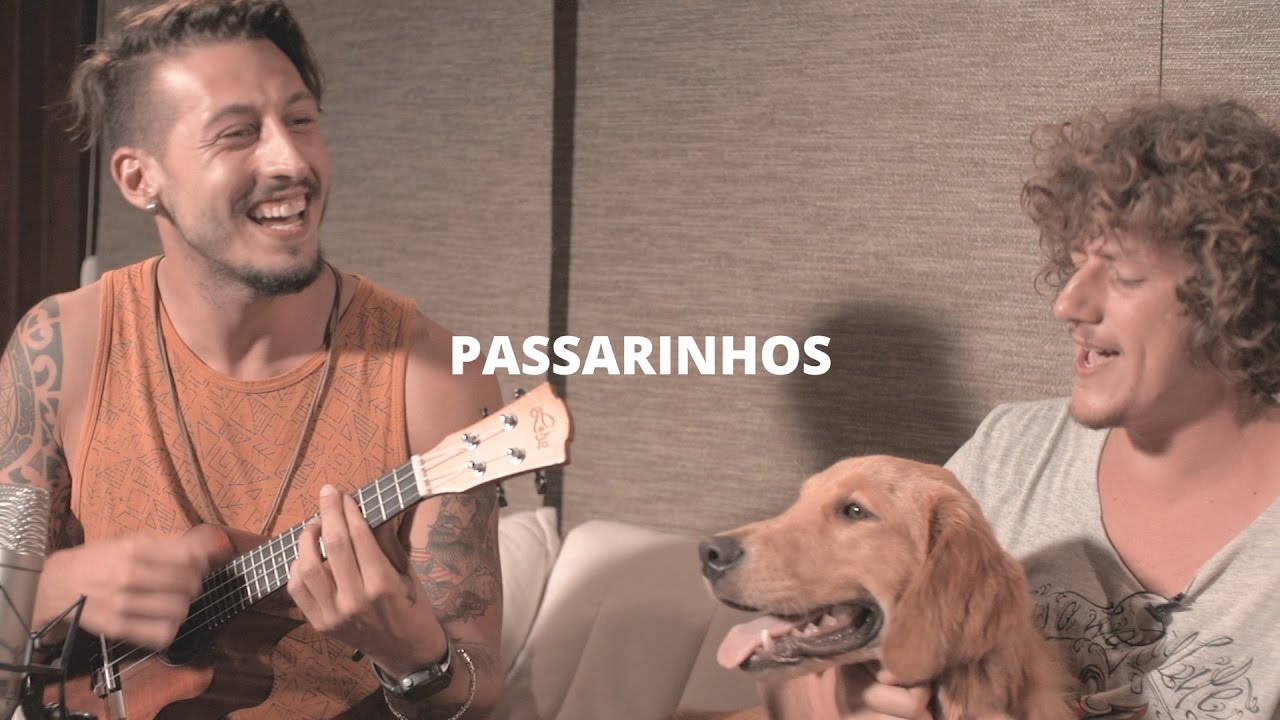 Passarinhos - Emicida e Vanessa da Mata (Pedro Schin & Leash cover acústico) Nossa Toca