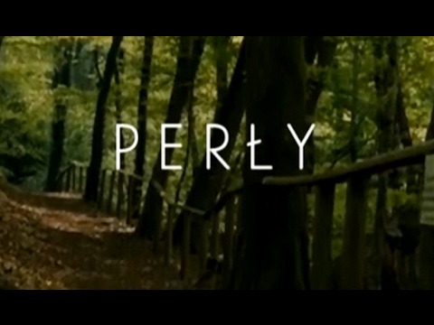 Szary - Perły (prod. Atezu) [MASH UP: Yosaie] [Official Video]
