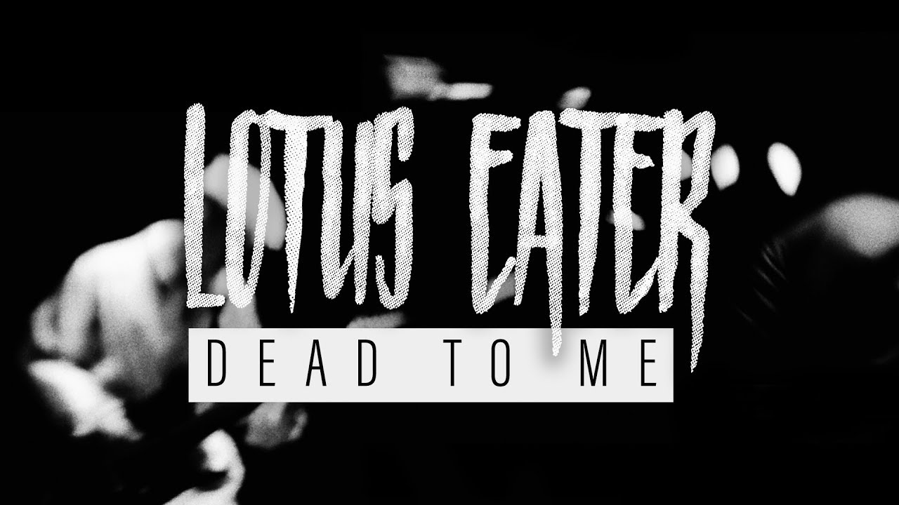Lotus Eater - Dead To Me (Official Music Video)