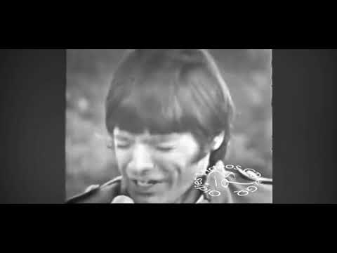 Terry Knight & The Pack “I Who Have Nothing” (1966)