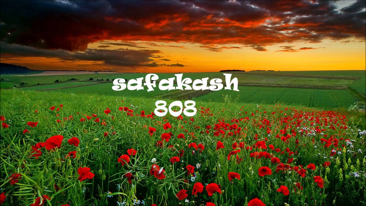safakash - 808