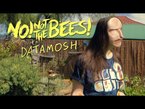 No! Not The Bees! - Datamosh (Official Music Video)