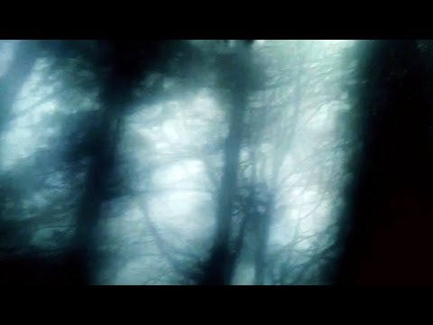 Moth Equals - Sinking [ Ambient Music ]