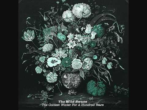 The Wild Swans - Lost At Sea