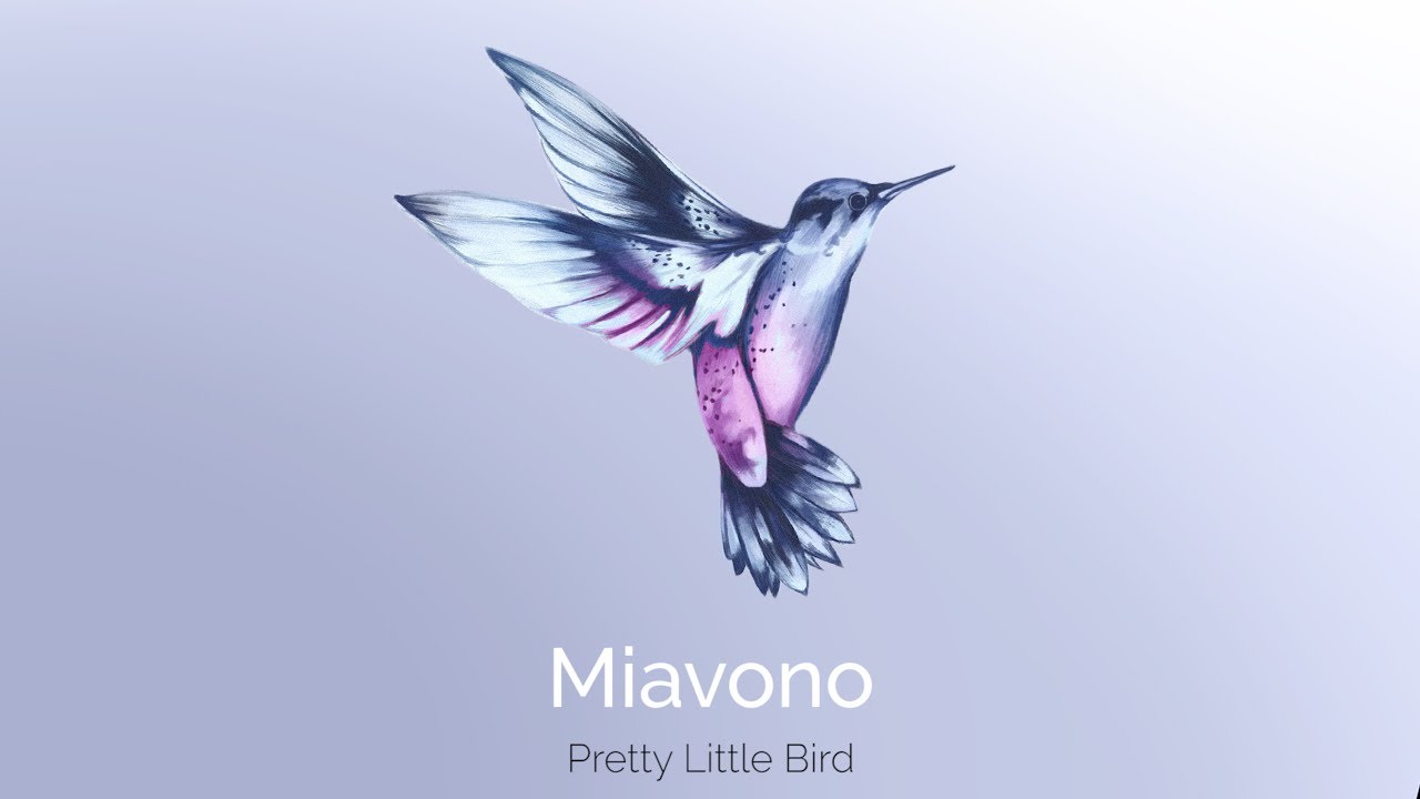 Miavono - Pretty Little Bird (Official Audio)