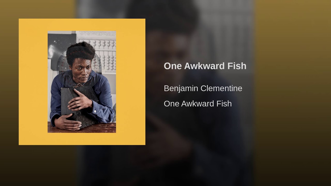 One Awkward Fish
