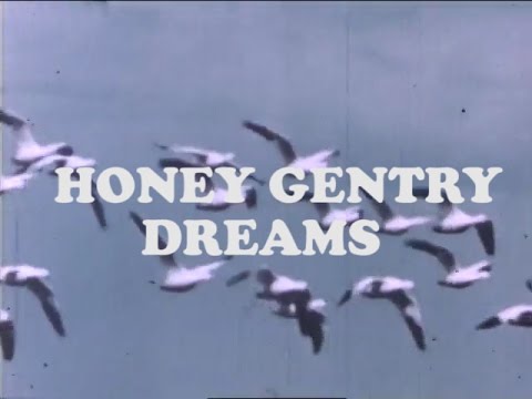 honey gentry ♡ dreams