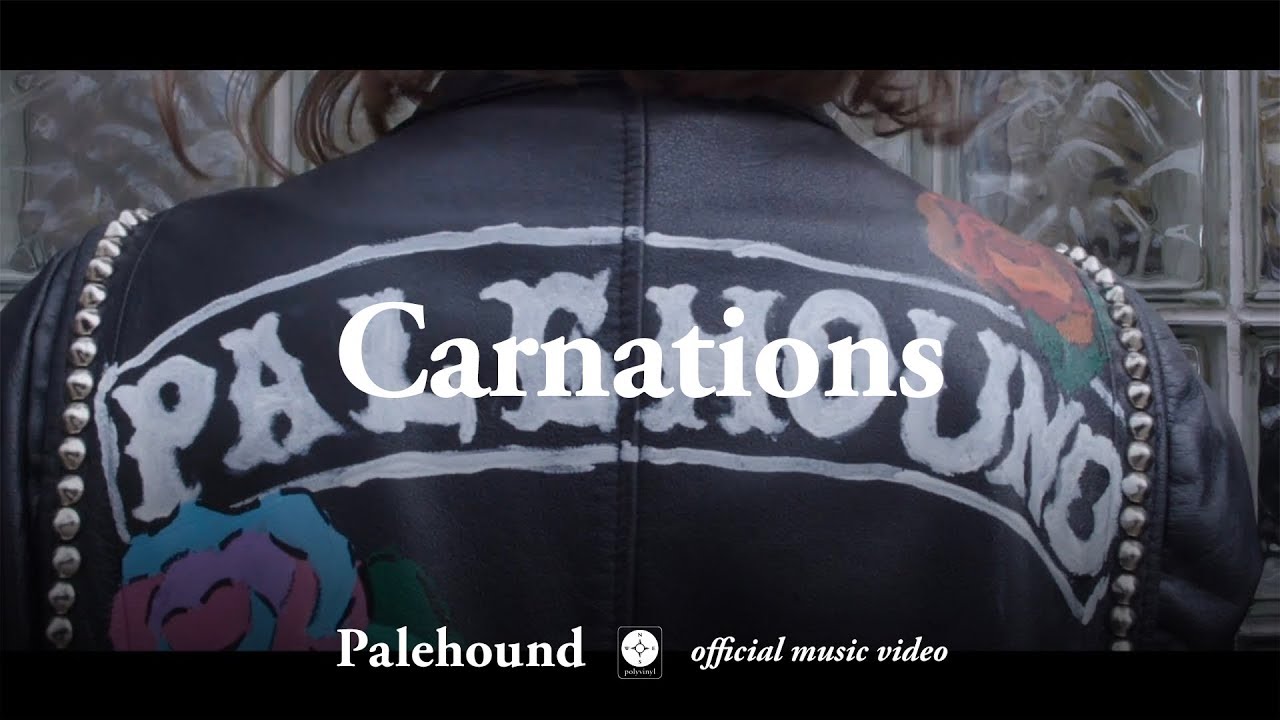 Palehound - Carnations [OFFICIAL MUSIC VIDEO]