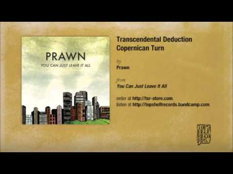 Prawn - Transcendental Deduction Copernican Turn