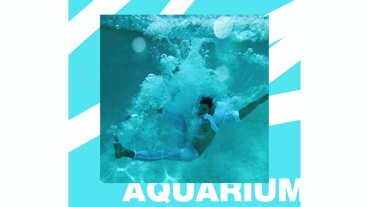 Carter Reeves - Aquarium [Official Audio]