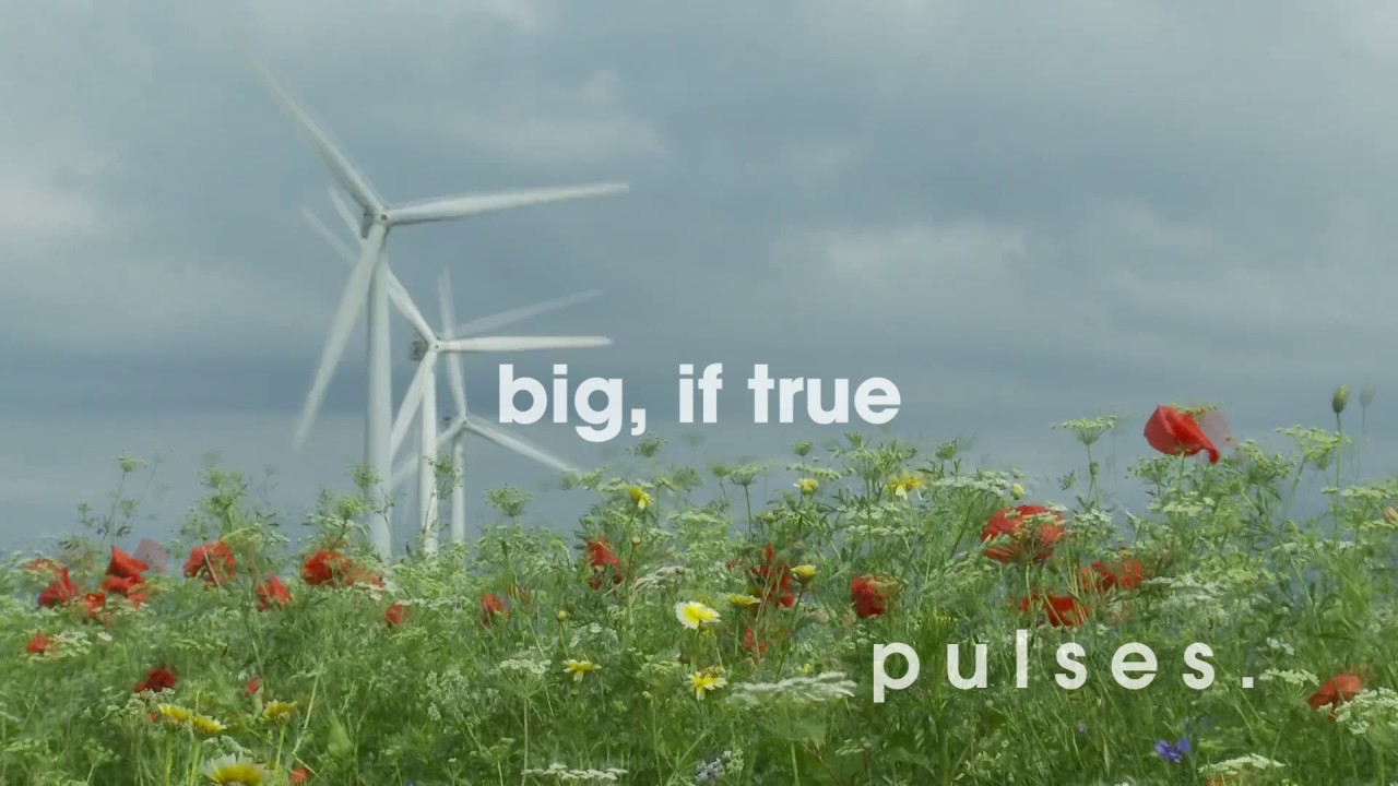 pulses. - Big, If True