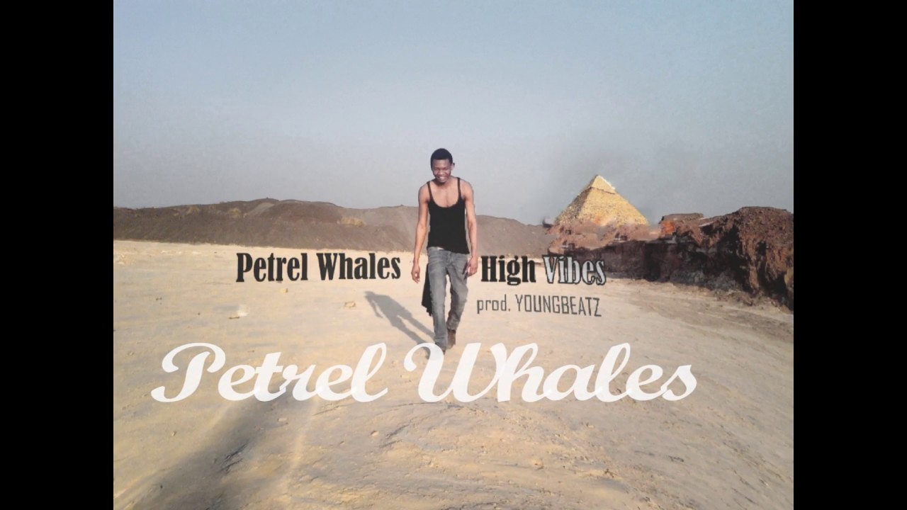 Petrel Whales - High Vibes Lyrics ( prod. Young Beatz)