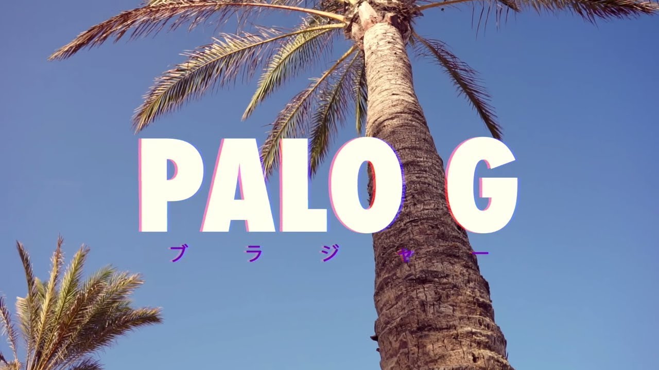 Palo G - Purple Bra