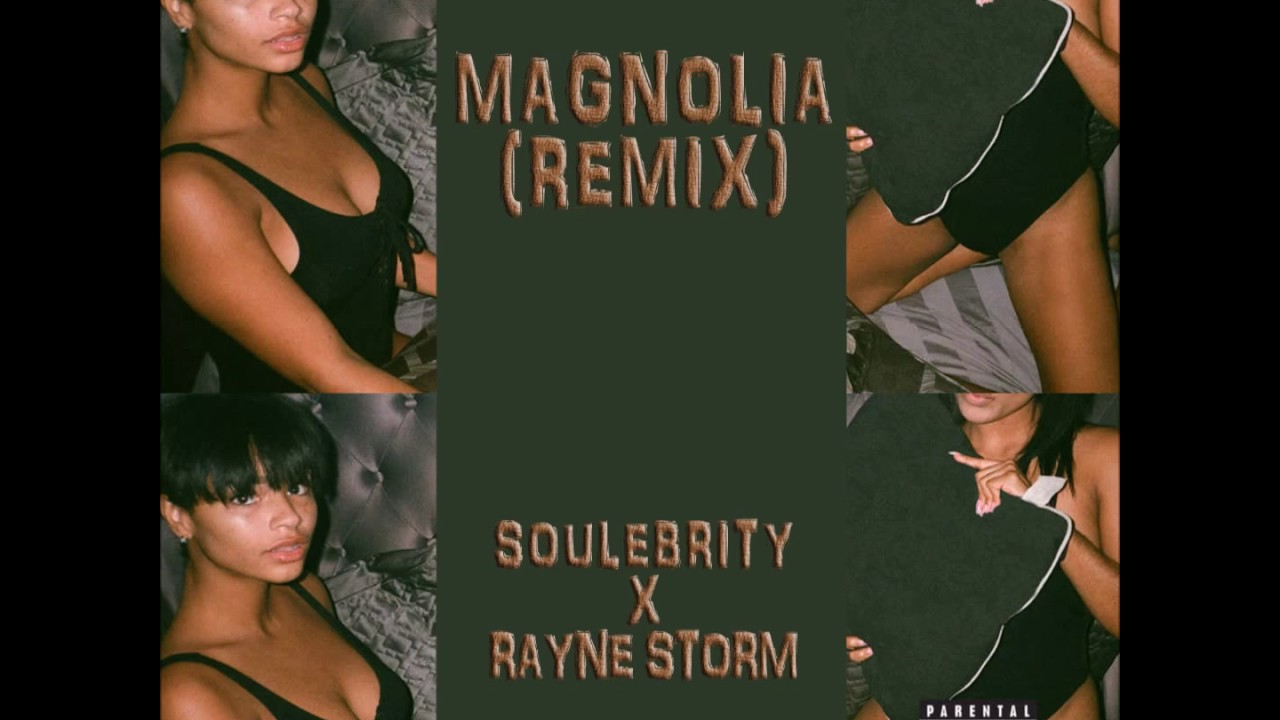 Magnolia (Remix) - Soulebrity & Rayne Storm