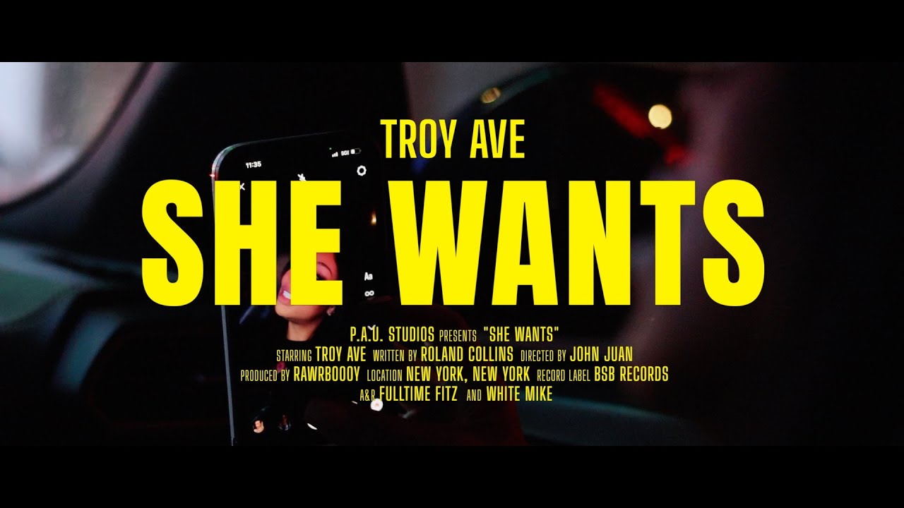 Troy Ave - She Wants (RnB Music) | Official Video Pt.3