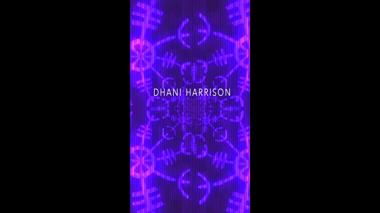 Dhani Harrison - Damn That Frequency (Easy Star All-Stars Remix)
