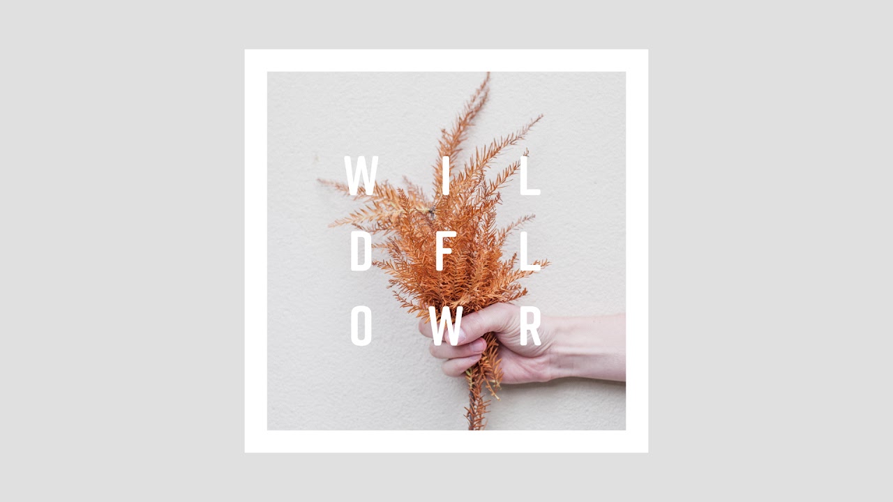 dutchkid - Wildflower (Official Audio)