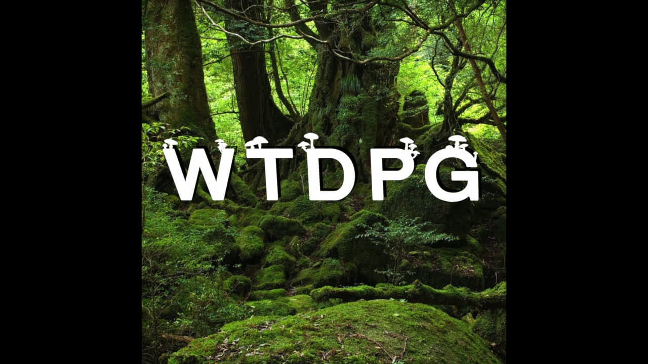 WTDPG - Nossa Realidade