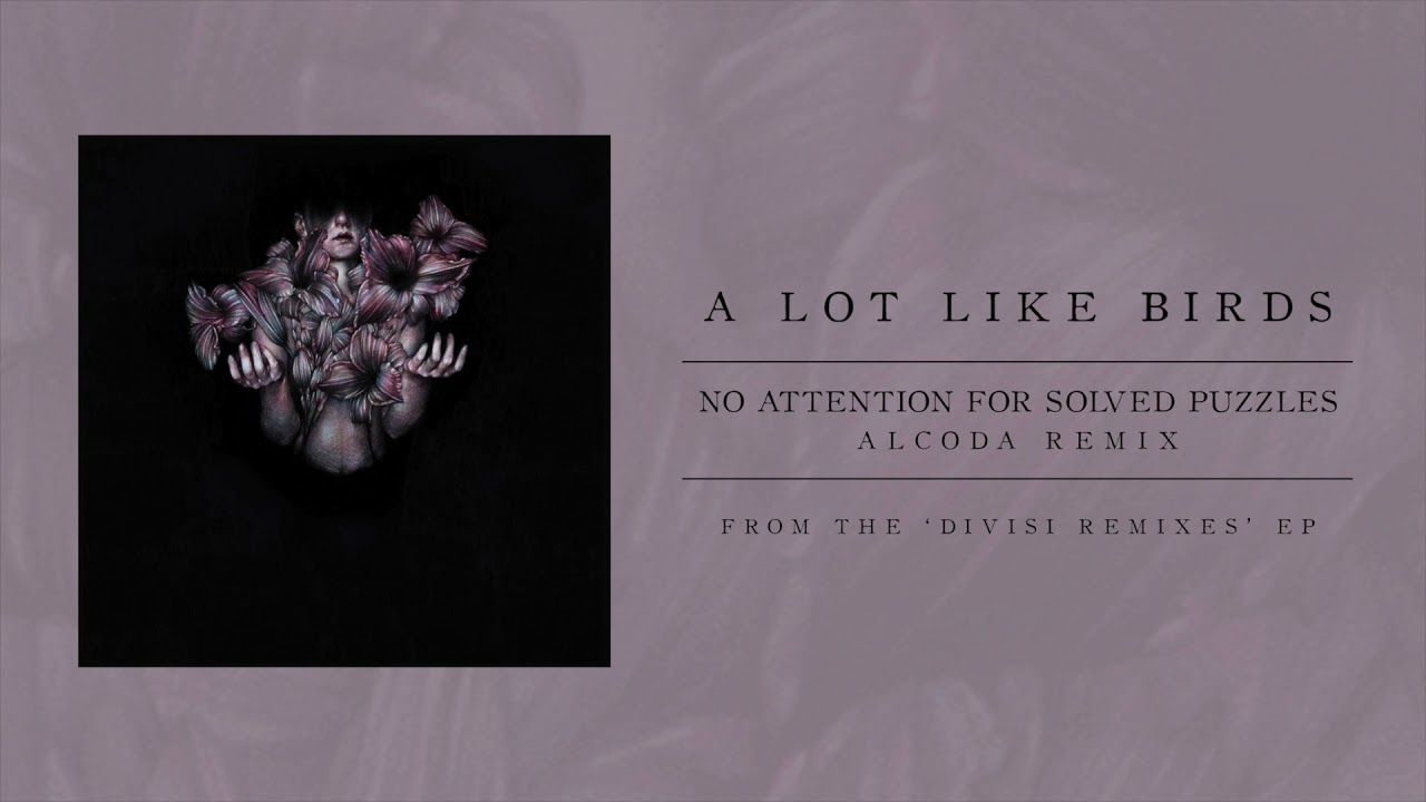 A Lot Like Birds "No Attention For Solved Puzzles" [ALCODA Remix]
