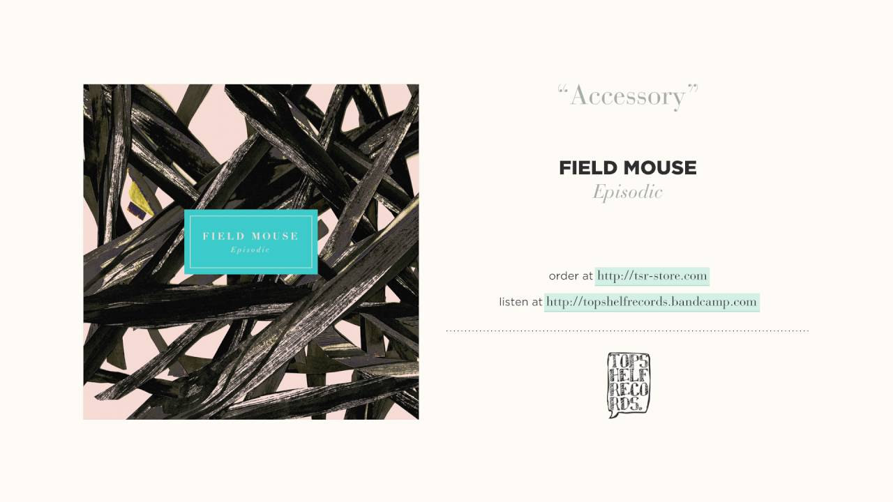 "Accessory" by Field Mouse