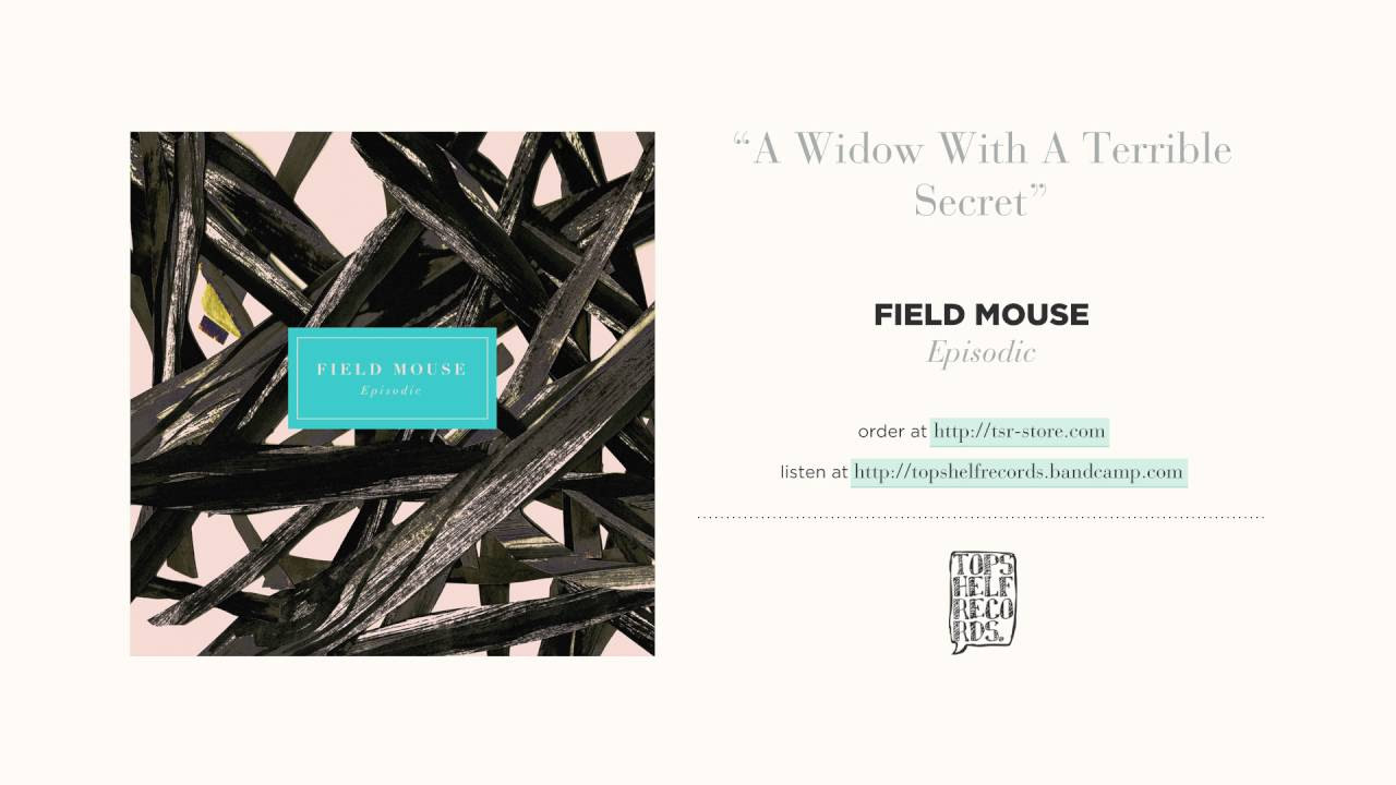 "A Widow With A Terrible Secret" by Field Mouse