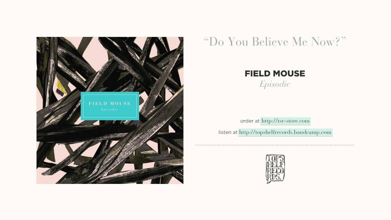 "Do You Believe Me Now" by Field Mouse