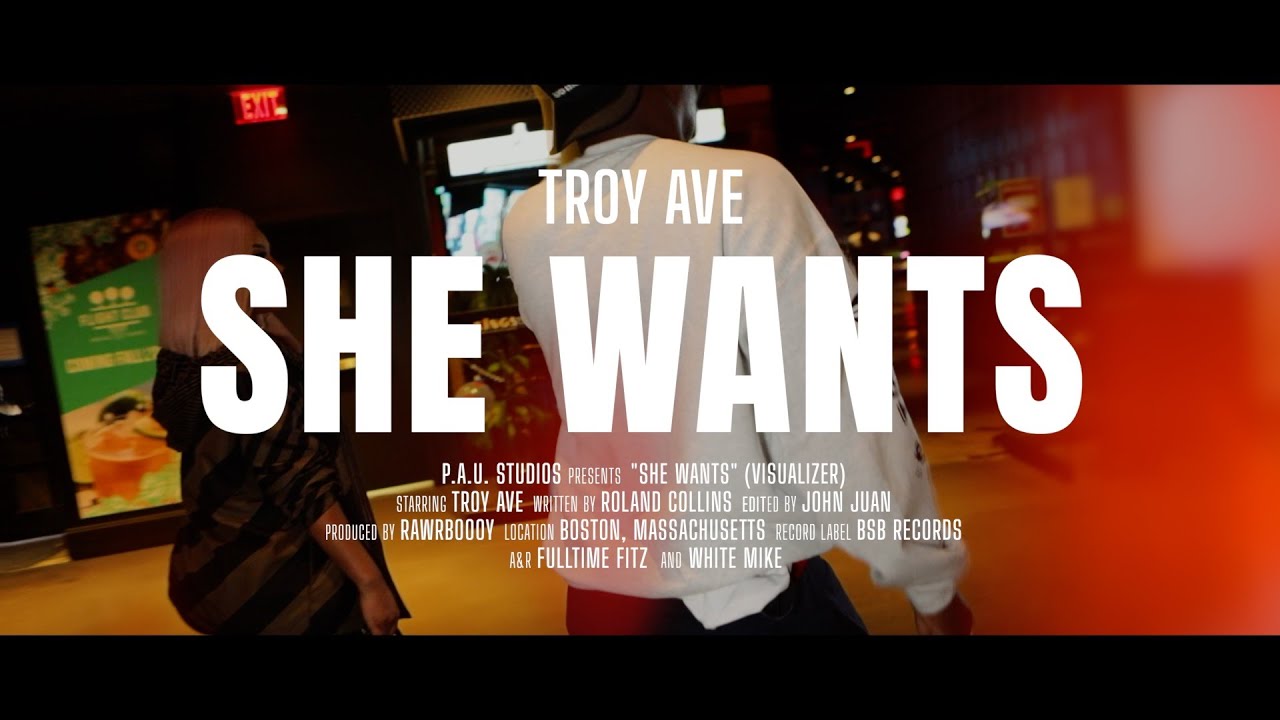 Troy Ave - She Wants (RnB Music) | Visualizer