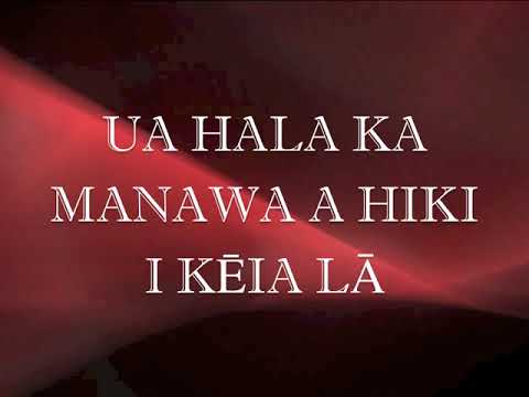 All Hawaiʻi (lyric video)