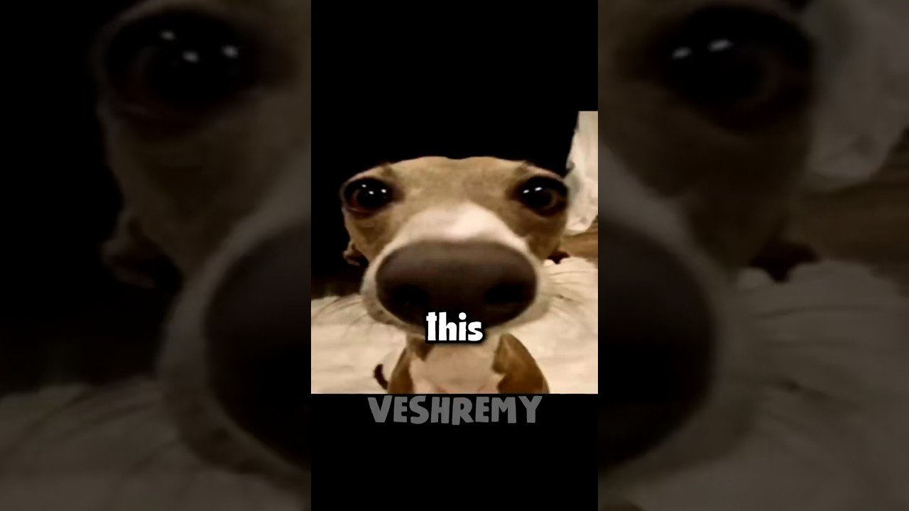 Veshremy called me out….