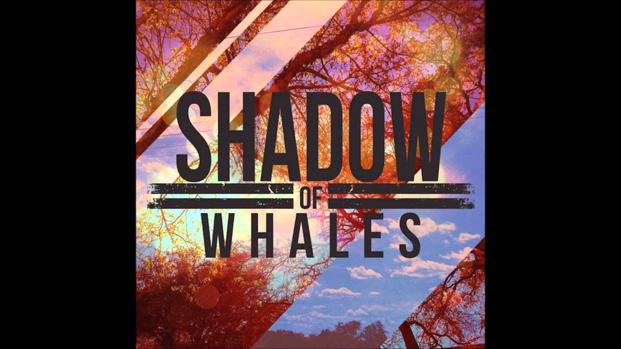 Shadow Of Whales -  Pretenders