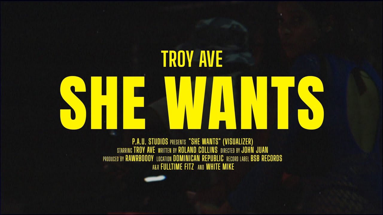 Troy Ave - She Wants (RnB Music) | DR Visualizer