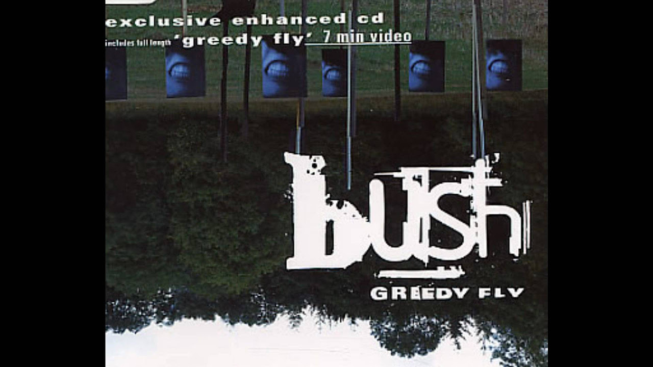 Bush - Swallowed (Toasted Both Sides Please) Goldie Remix