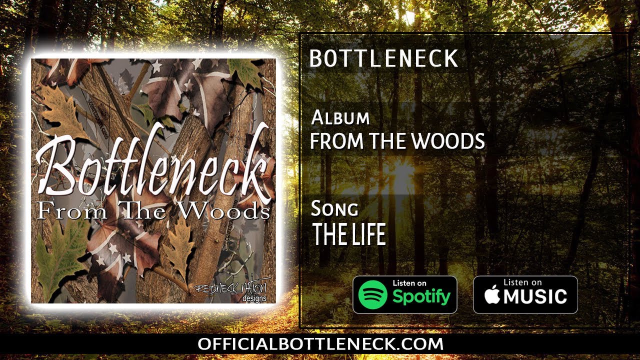 Album: From the woods Song: The life (BOTTLENECK)